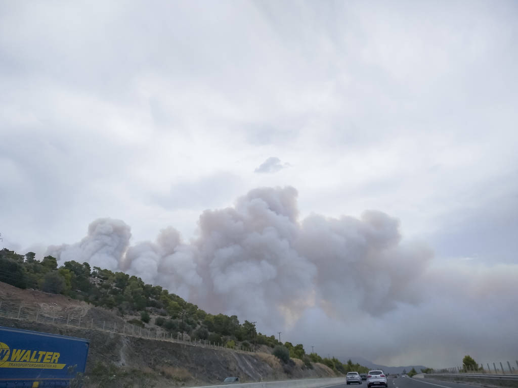 Φωτιά Κινέτα – Τάσος Αρνιακός στο Newsbomb.gr: Πότε θα κοπάσουν οι ισχυροί άνεμοι στην περιοχή