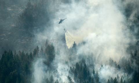 Στις «φλόγες» η Βόρεια Ευρώπη: Καίγονται αρχαία δάση σε Φινλανδία, Σουηδία, Νορβηγία και Λετονία