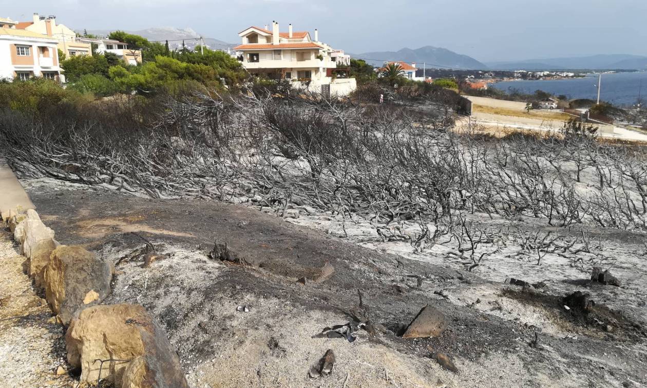 Φωτιά Αττική: Χρήσιμα τηλέφωνα για σημεία όπου προσφέρεται στέγη και φαγητό στους πληγέντες