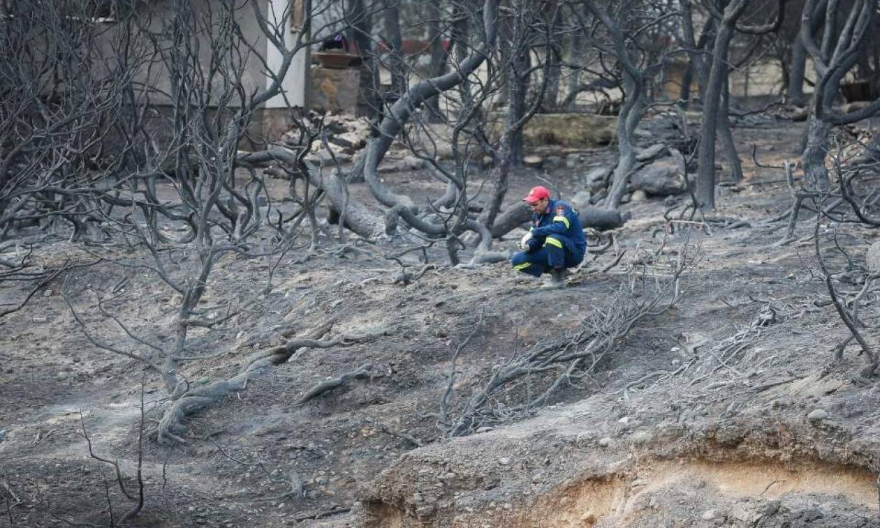 Φωτιά Αττική: Εισαγγελική έρευνα για τις φονικές πυρκαγιές