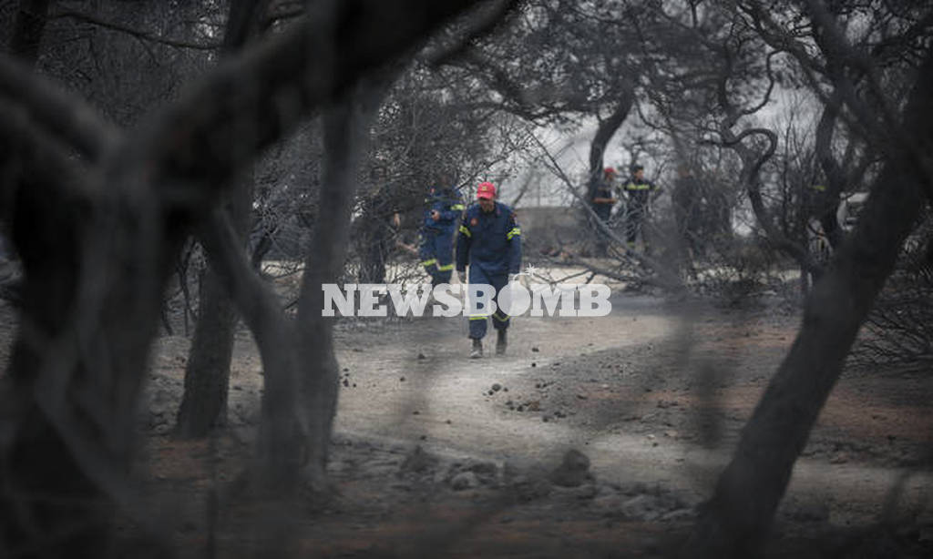 Φωτιά - Συγκλονιστικό ρεπορτάζ του Γαλλικού Πρακτορείου: «Το Μάτι δεν υπάρχει πια»