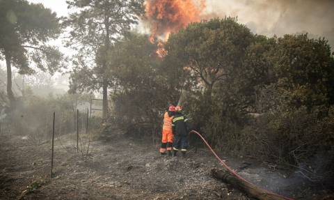 Φωτιές Αττική: Σκληρή μάχη με τις φλόγες σε Καλλιτεχνούπολη και Κινέτα
