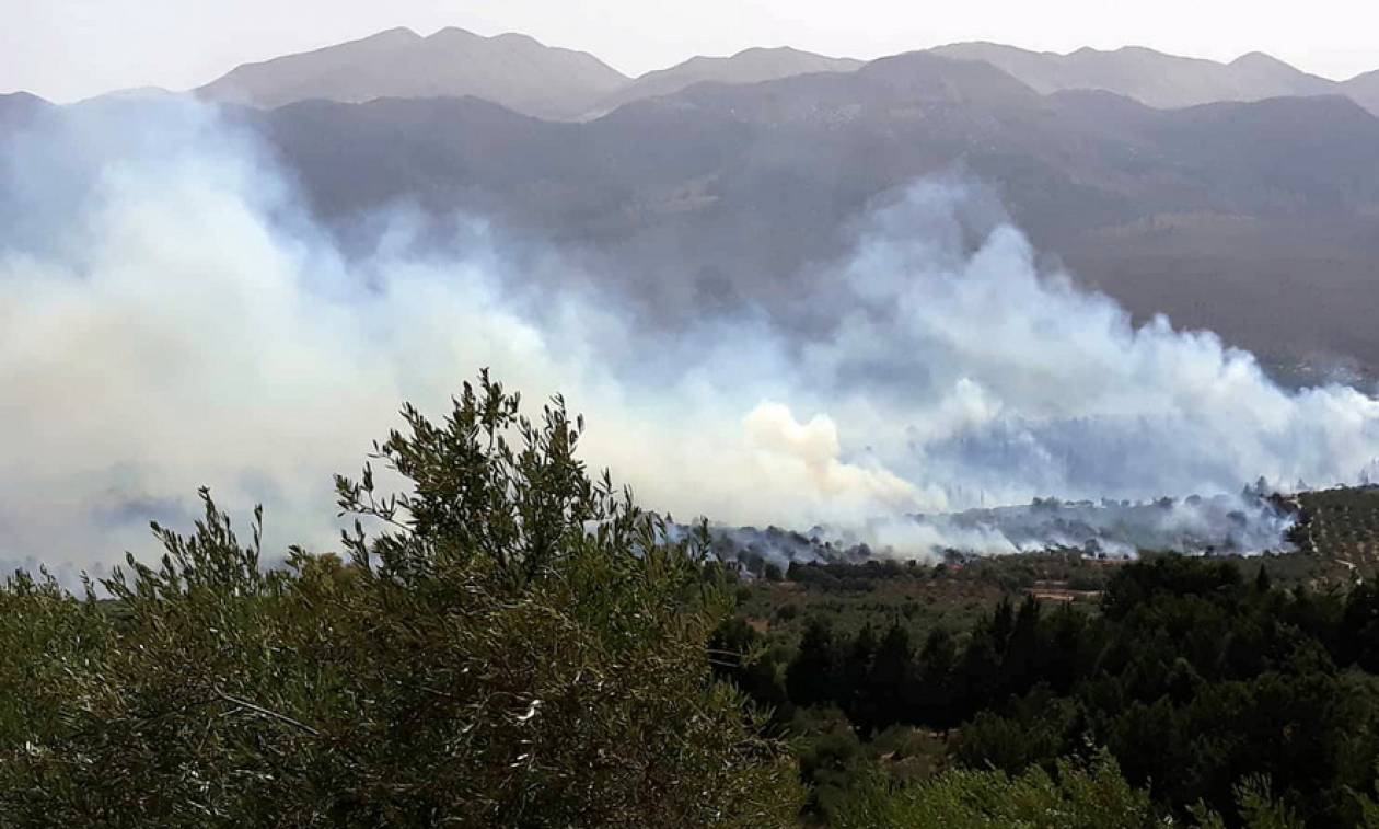 Φωτιά Χανιά: Αρχίζει η καταγραφή των ζημιών από τη μεγάλη πυρκαγιά στον Κακόπετρο