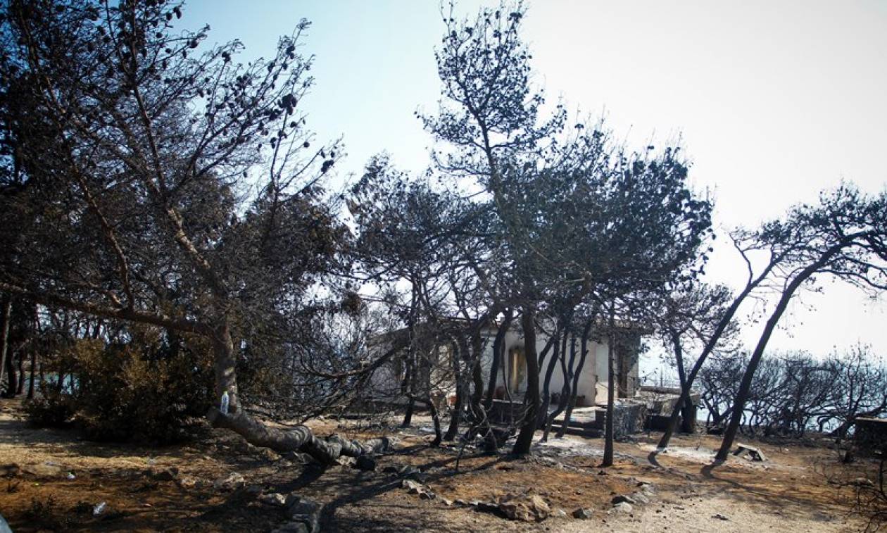 Φωτιά Αττική: Η πύρινη κόλαση σε μια φωτογραφία