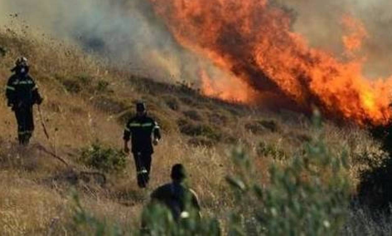 Υπό πλήρη έλεγχο φωτιά στη Ζάκυνθο