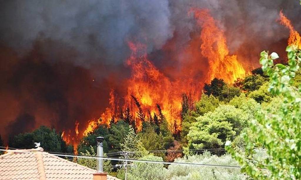 Υπό πλήρη έλεγχο φωτιά στη Ζάκυνθο