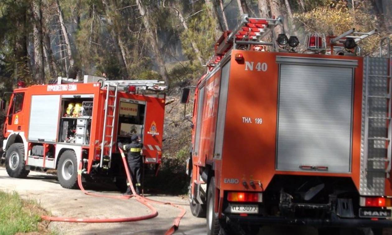 Προσοχή! Υψηλός ο κίνδυνος πυρκαγιάς σήμερα - Δείτε σε ποιες περιοχές (χάρτης)