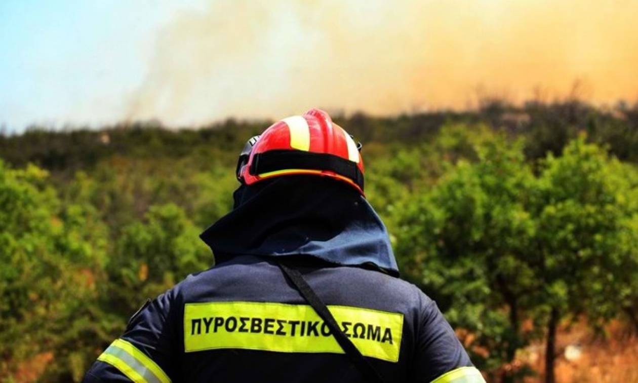 Υψηλός ο κίνδυνος πυρκαγιάς σήμερα - Δείτε σε ποιες περιοχές (χάρτης)