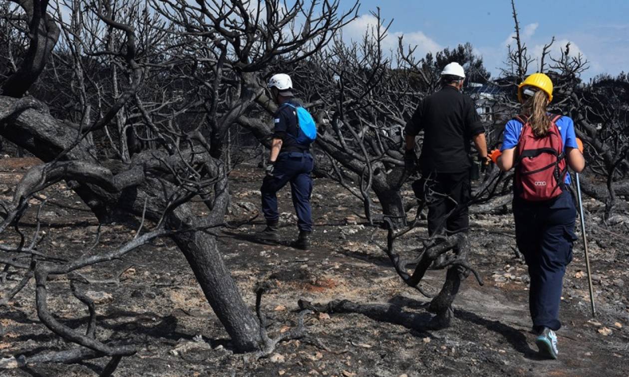 Φωτιά στο Μάτι - Καταγγελία: «Δεν λειτουργούσαν οι ασύρματοι της Αστυνομίας»