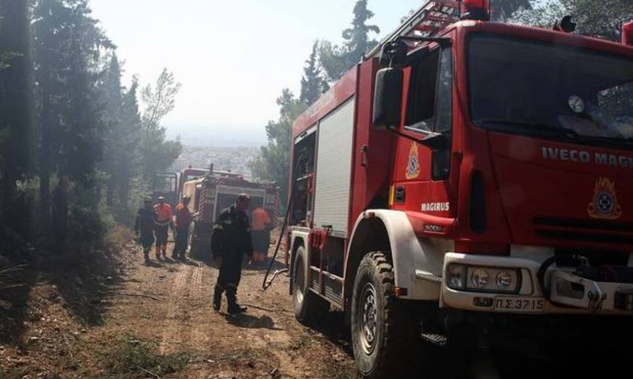 Προσοχή! Υψηλός ο κίνδυνος πυρκαγιάς σήμερα - Δείτε σε ποιες περιοχές (χάρτης)