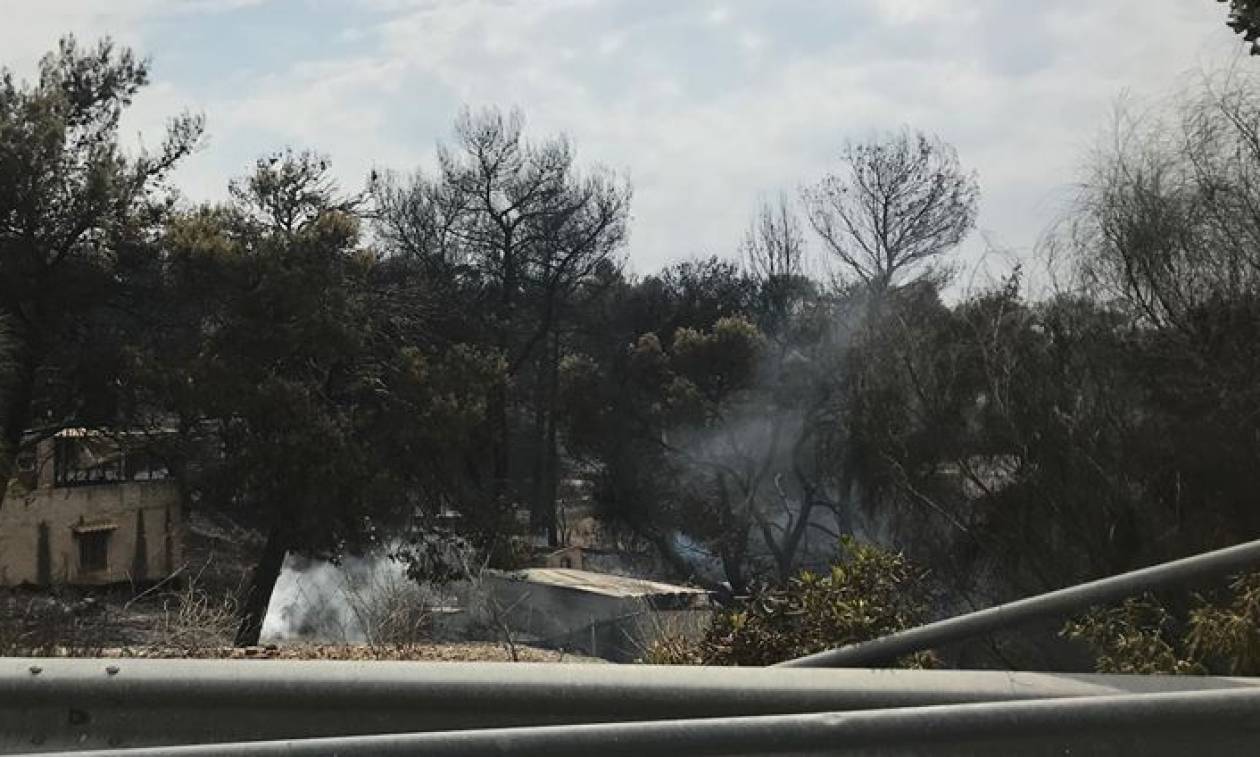 Φωτιά: Eπίδομα ανεργίας στους εργαζομένους επιχειρήσεων που κάηκαν