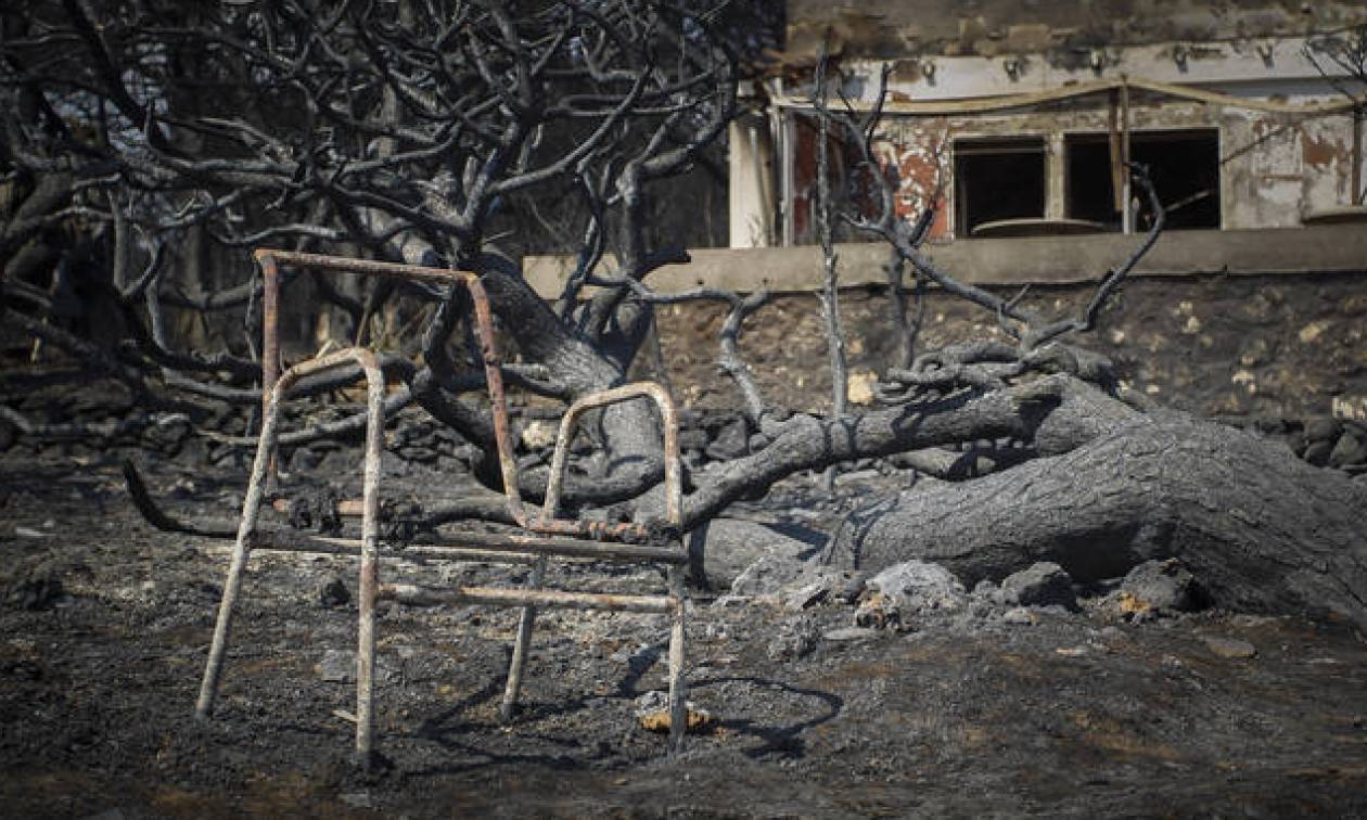 Φάμελλος: Καταπατημένη δασική έκταση το οικόπεδο του θανάτου στο Μάτι