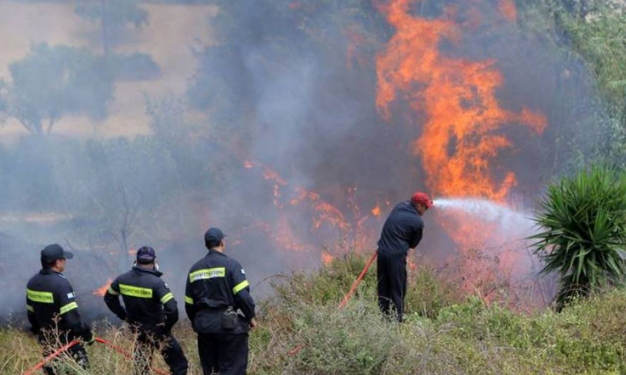 Φωτιά: Προσήχθησαν δύο ανήλικοι για πρόκληση πυρκαγιάς στην Κρυοπηγή Χαλκιδικής