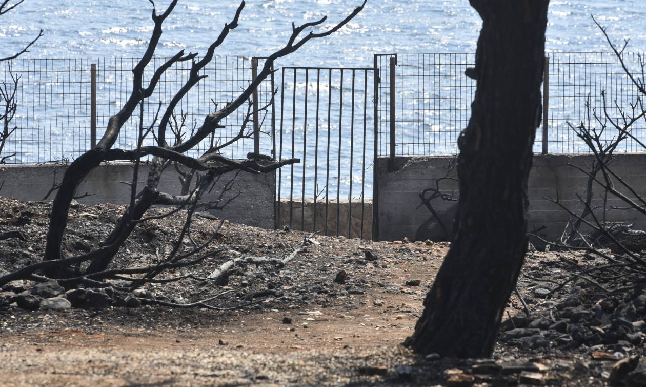 Φωτιά – Αποκάλυψη σοκ - «Κάντε ό, τι νομίζετε»: Η απάντηση της Πυροσβεστικής σε όσους καίγονταν