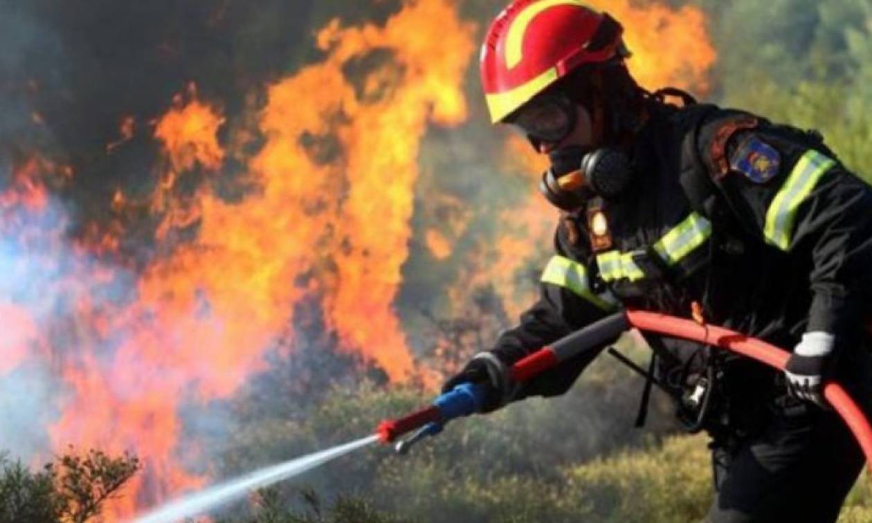 Υψηλός κίνδυνος πυρκαγιάς την Παρασκευή (03/08) - Δείτε σε ποιες περιοχές