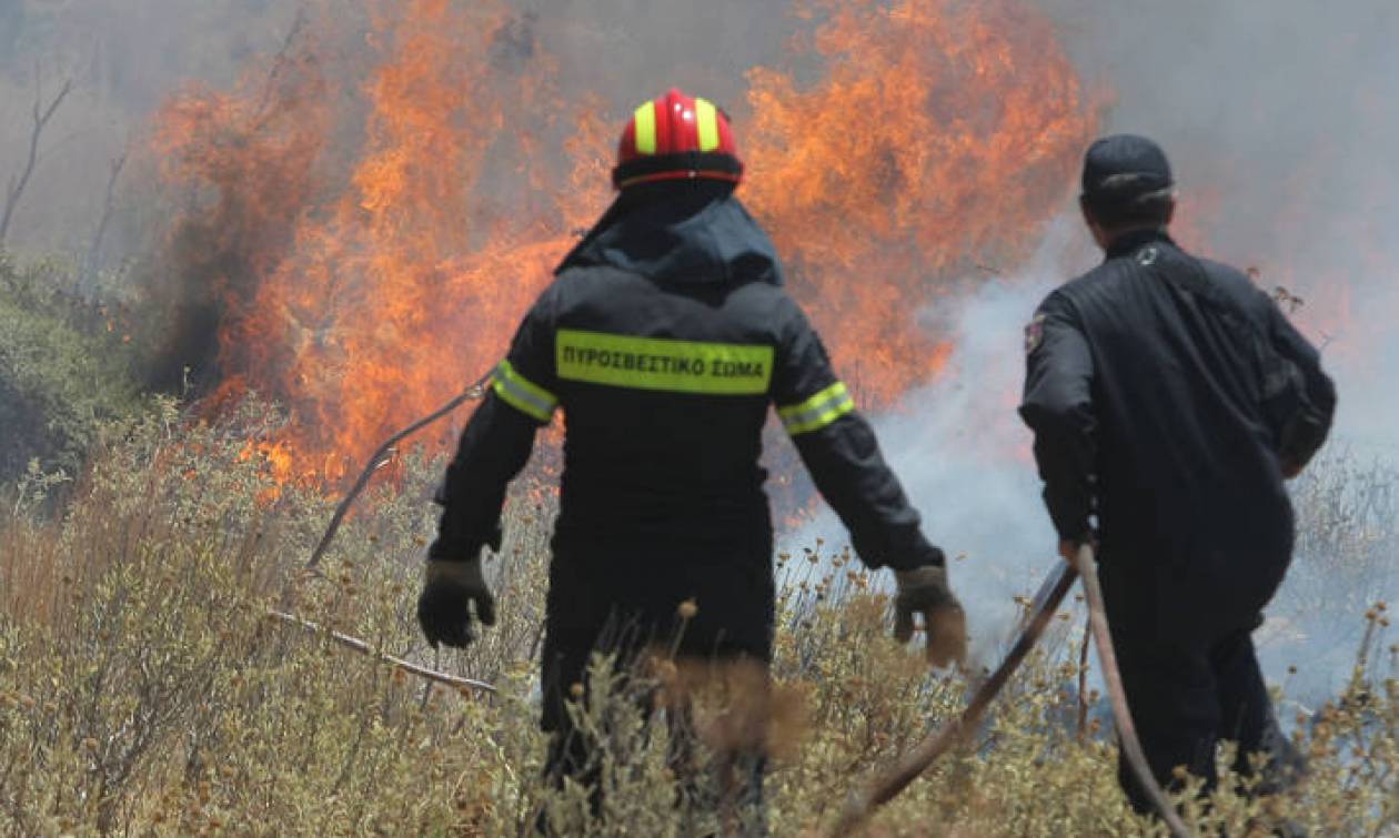 Νέα πυρκαγιά στις Μαλάδες Ηρακλείου