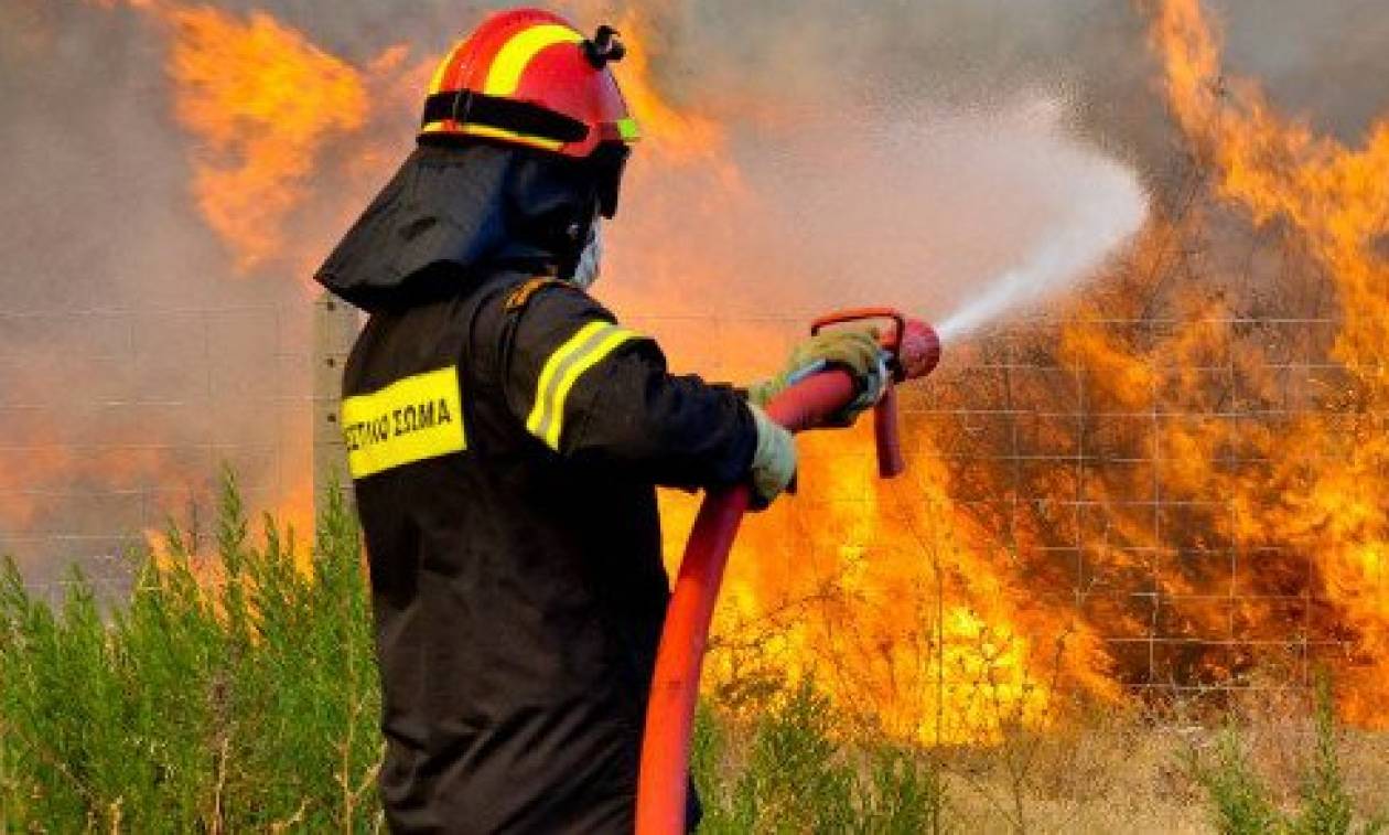 Πολύ υψηλός o κίνδυνος πυρκαγιάς σήμερα - Δείτε σε ποιες περιοχές (χάρτης)