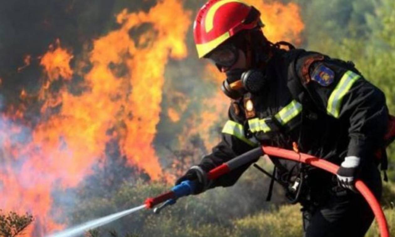 Υψηλός ο κίνδυνος πυρκαγιάς για αύριο Σάββατο (04/08) - Δείτε σε ποιες περιοχές (χάρτης)