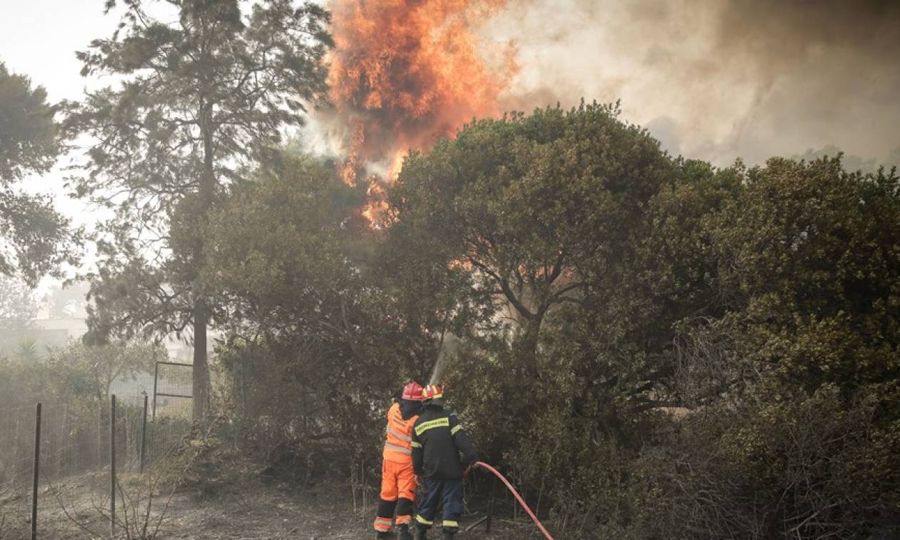 Φωτιά στο Σέσι Γραμματικού