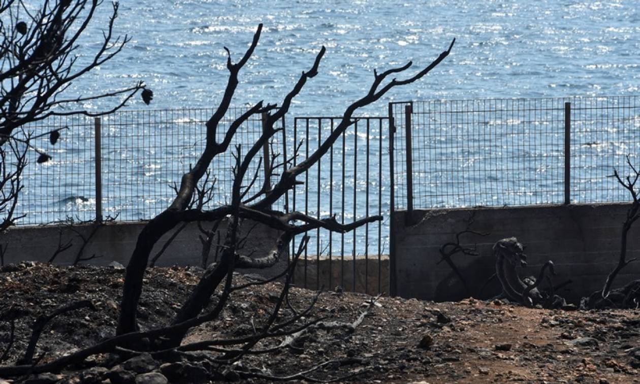 Φωτιά Μάτι: Συγκλονιστική μαρτυρία για το οικόπεδο του θανάτου - «Έτσι πέθαναν οι 26 άνθρωποι» (vid)