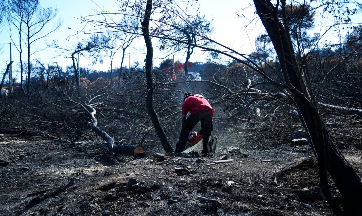 Μακραίνει η μακάβρια λίστα: Στους 89 οι νεκροί από τη φωτιά στο Μάτι