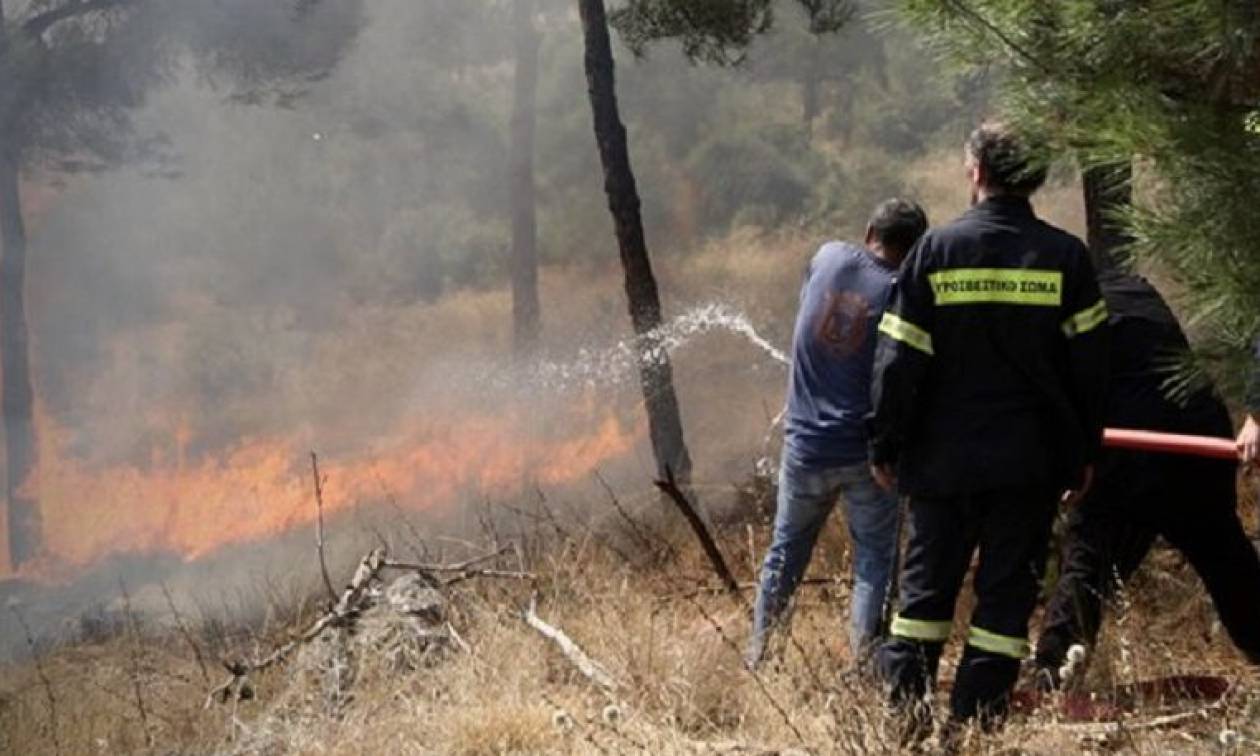 Υψηλός ο κίνδυνος εκδήλωσης πυρκαγιάς την Τρίτη - Δείτε σε ποιες περιοχές