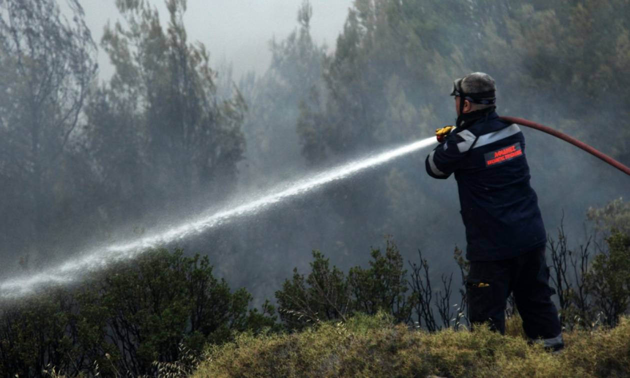 Υψηλός ο κίνδυνος εκδήλωσης πυρκαγιάς σήμερα - Δείτε σε ποιες περιοχές (χάρτης)