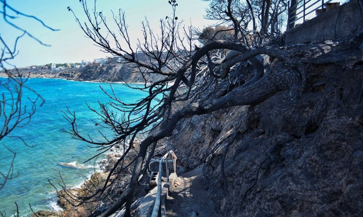 Φωτιά Μάτι: Με καταθέσεις συγγενών των θυμάτων συνεχίζεται η εισαγγελική έρευνα