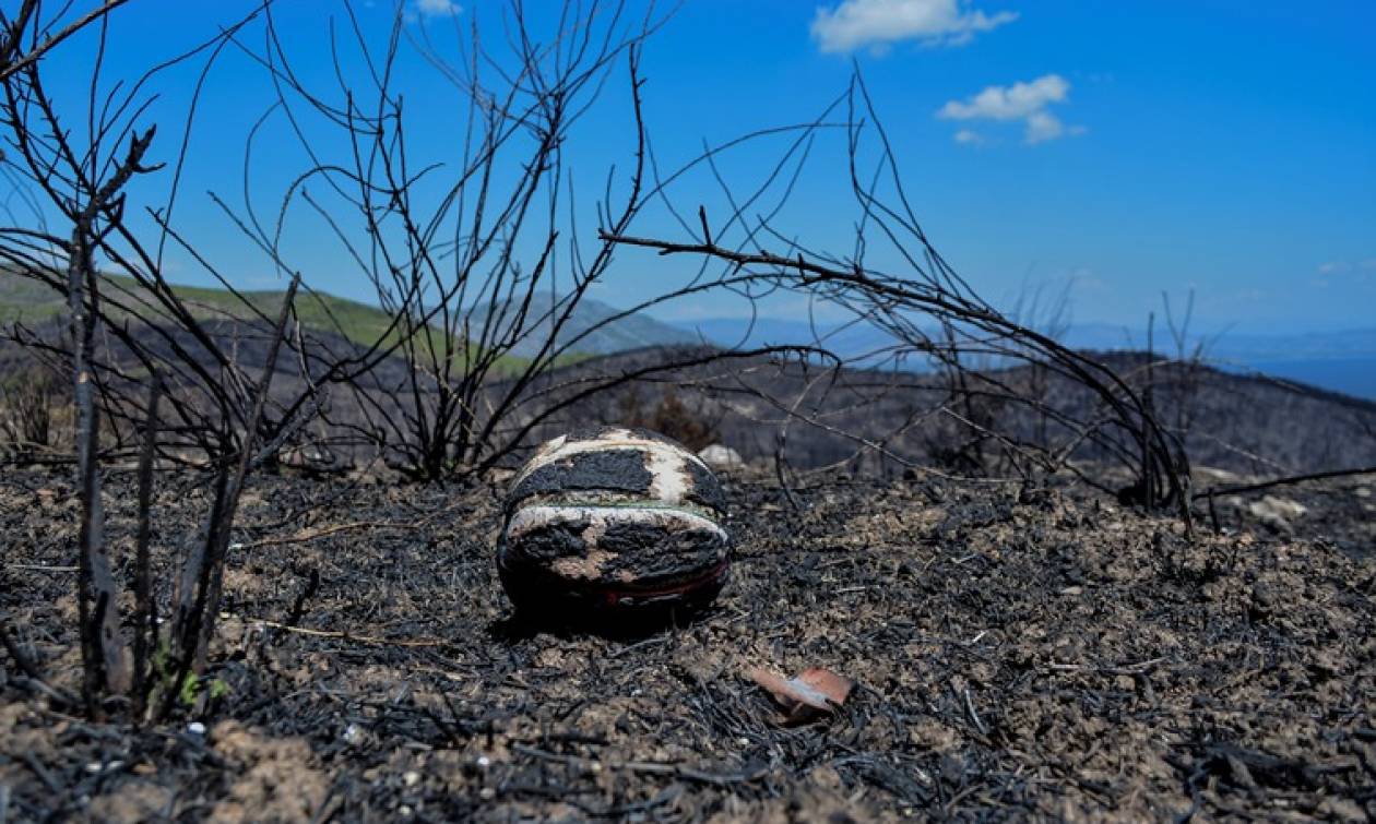 Φωτιά Μάτι: Στους 93 οι νεκροί - Κατέληξε μια γυναίκα στο νοσοκομείο