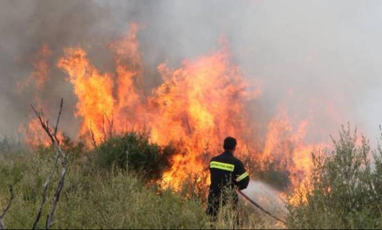 Υπό μερικό έλεγχο η φωτιά στο Κορακοβούνι Ηρακλείου