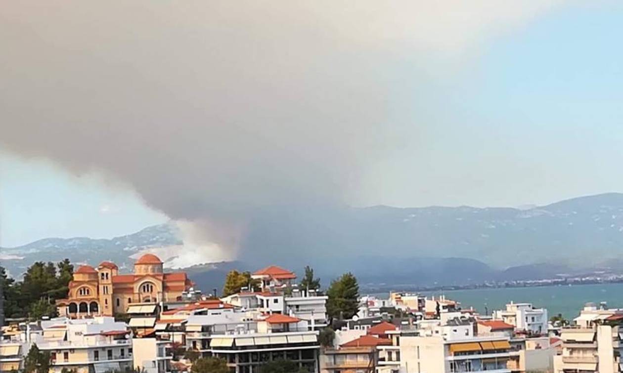 Φωτιά Εύβοια: Ανατριχιαστικά βίντεο και φωτογραφίες από την πύρινη κόλαση