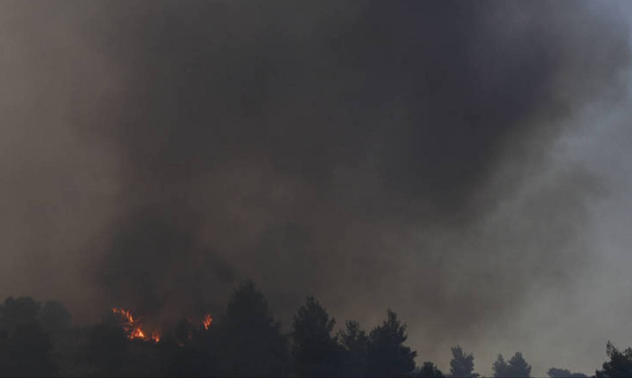 Φωτιά Εύβοια: Συνεχής η ενημέρωση του πρωθυπουργού