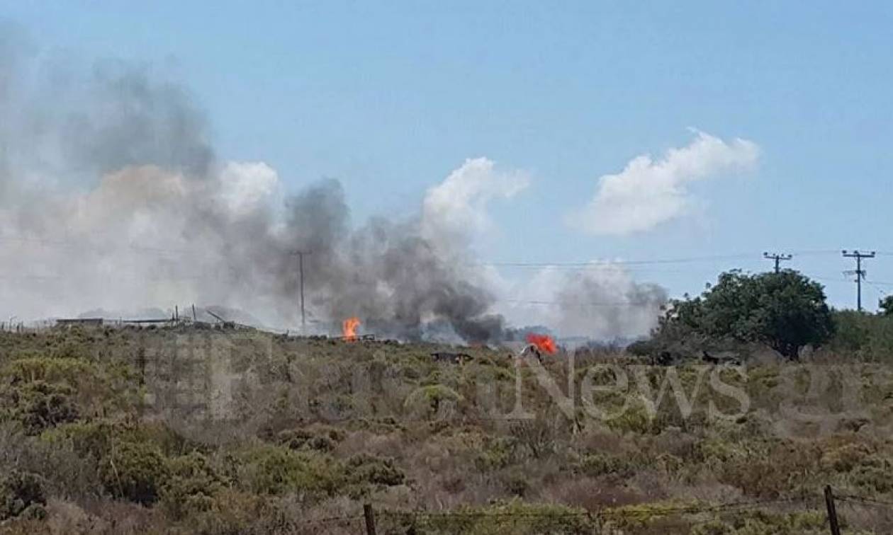 Φωτιά στην περιοχή Κορακιές Χανίων (pics)