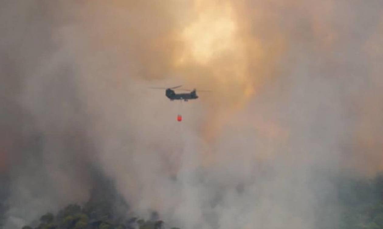 Φωτιά ΤΩΡΑ στην Ηλεία (pics)