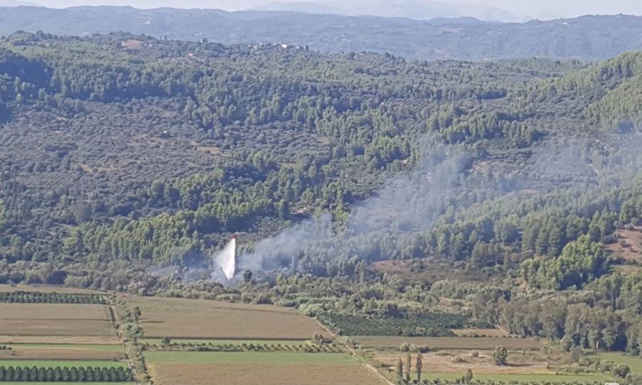 Φωτιά Ηλεία: Υπό έλεγχο η πυρκαγιά στις όχθες του Αλφειού (vid+pics)