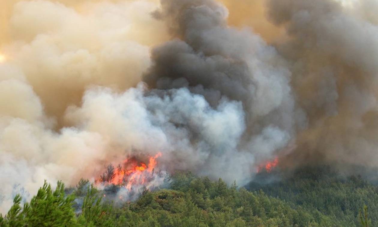 Χειροπέδες σε τρεις για εμπρησμούς σε Αττική και Ορεστιάδα