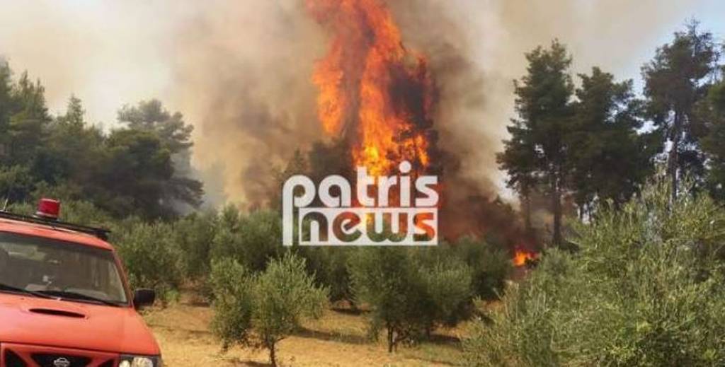 EKTAKTO - Φωτιά: Μεγάλη πυρκαγιά ΤΩΡΑ στην Αμαλιάδα - Εκκενώνεται χωριό