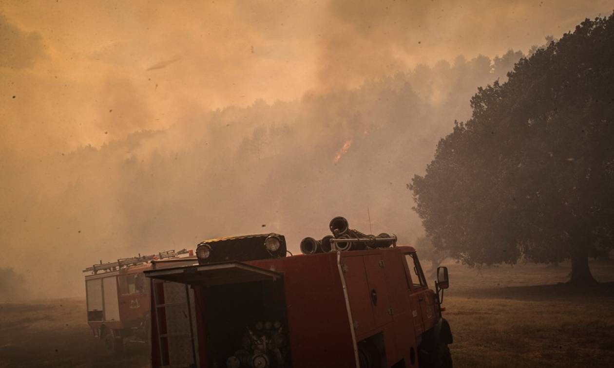 Φωτιά Ηλεία: Ολονύχτια μάχη με τις φλόγες - Φοβούνται για αναζωπυρώσεις στη Δαφνιώτισσα