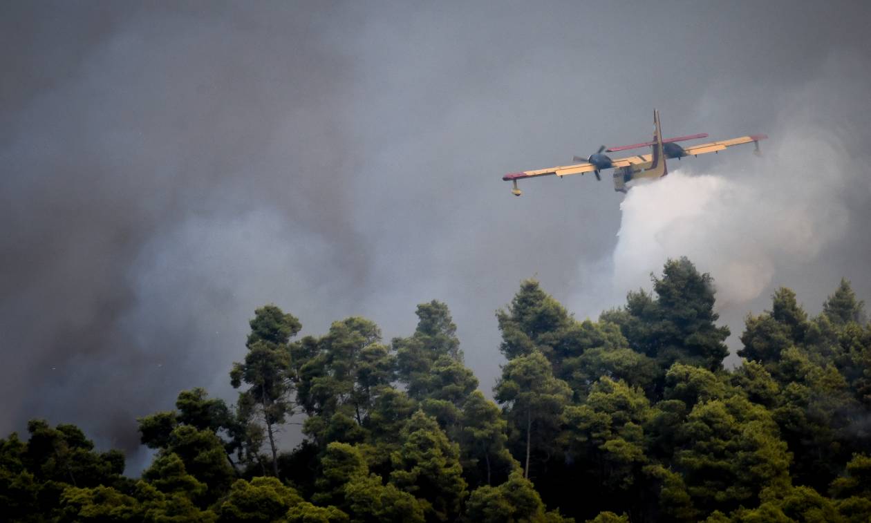 Υπό μερικό έλεγχο η φωτιά στoν Τύρναβο Λάρισας