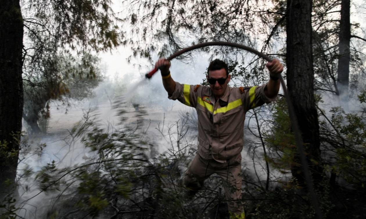 Φωτιά: Συναγερμός για πυρκαγιά στην Εύβοια