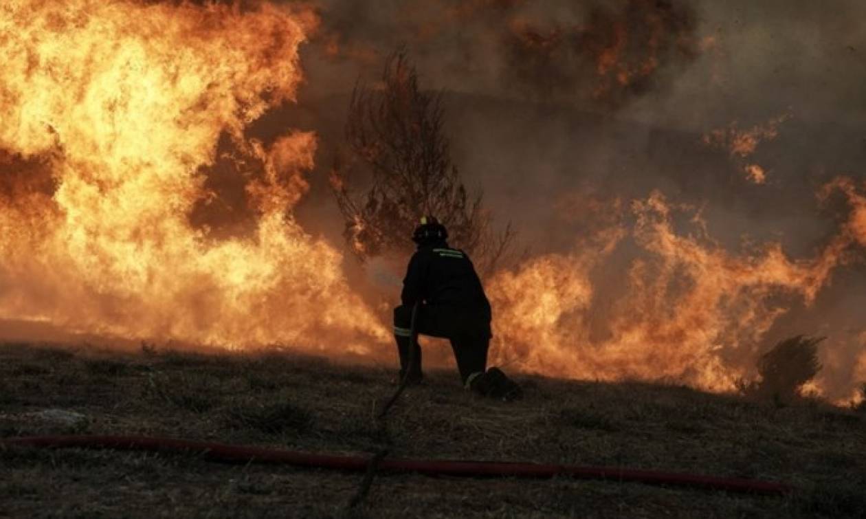 Συνελήφθη 44χρονος στην Αρχαία Ολυμπία κατηγορούμενος για εμπρησμούς