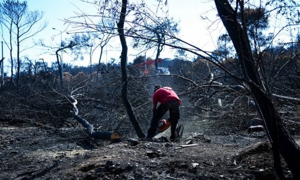 Φωτιά Μάτι: Αίτημα για ανάθεση της έρευνας σε εφέτη - ανακριτή