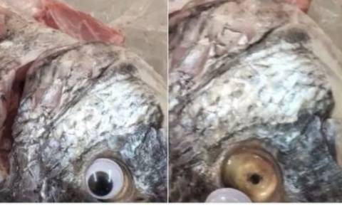 Απίστευτος ιδιοκτήτης εστιατορίου: Κολλούσε ψεύτικα πλαστικά μάτια στα ψάρια για να φαίνονται φρέσκα