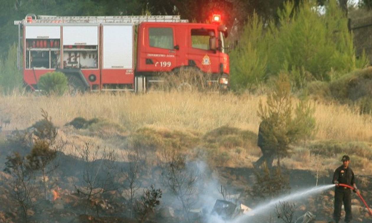 Φωτιά στο Άλσος Βεΐκου