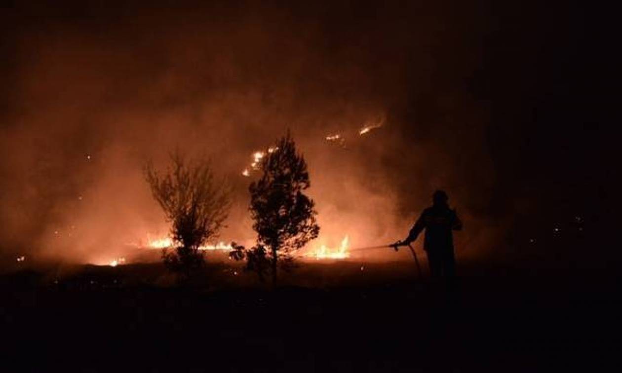 Φωτιά ΤΩΡΑ: Σε πλήρη εξέλιξη η μεγάλη πυρκαγιά κοντά στο Οίτυλο Λακωνίας (χάρτης)