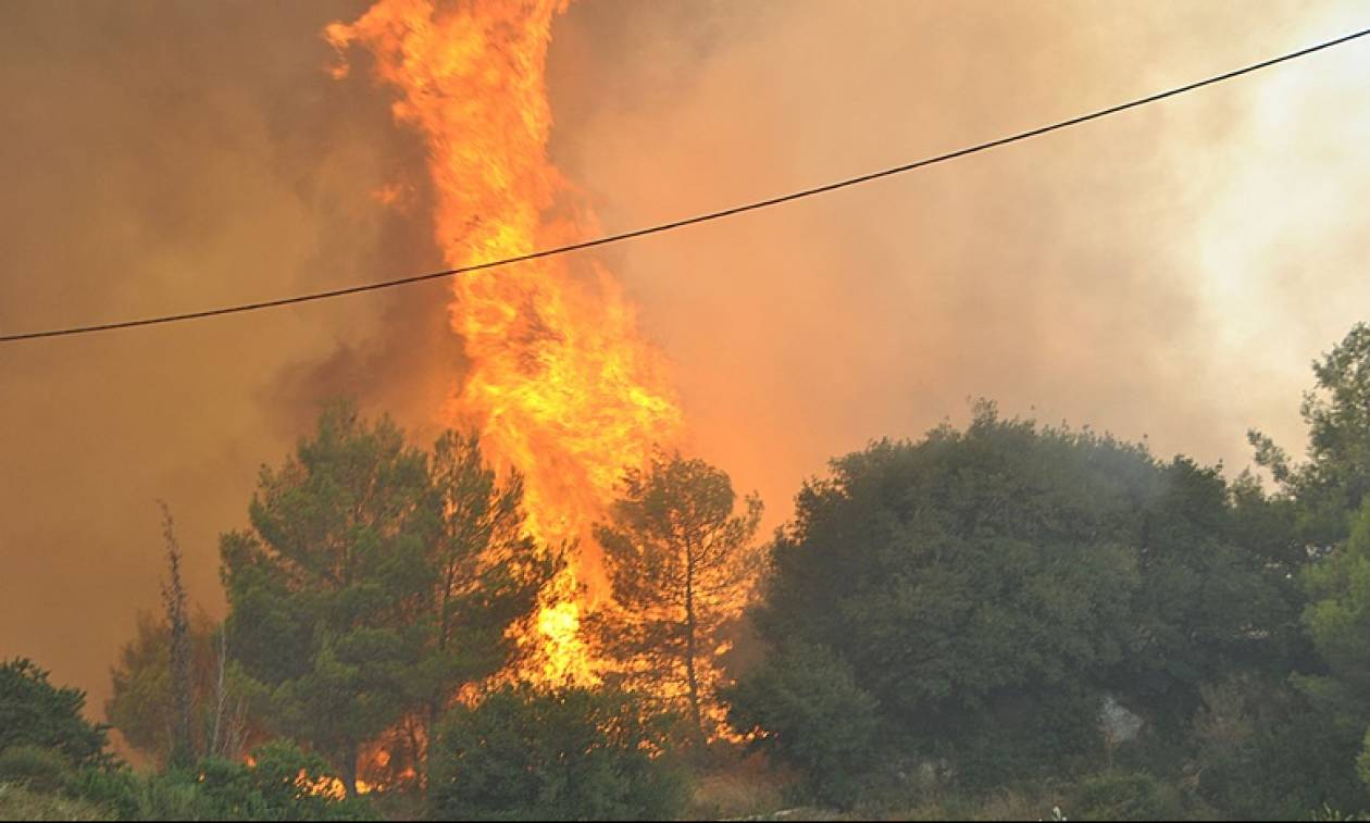 Φωτιά ΤΩΡΑ: Συνεχίζει να μαίνεται η πυρκαγιά στο Κελεφά Λακωνίας