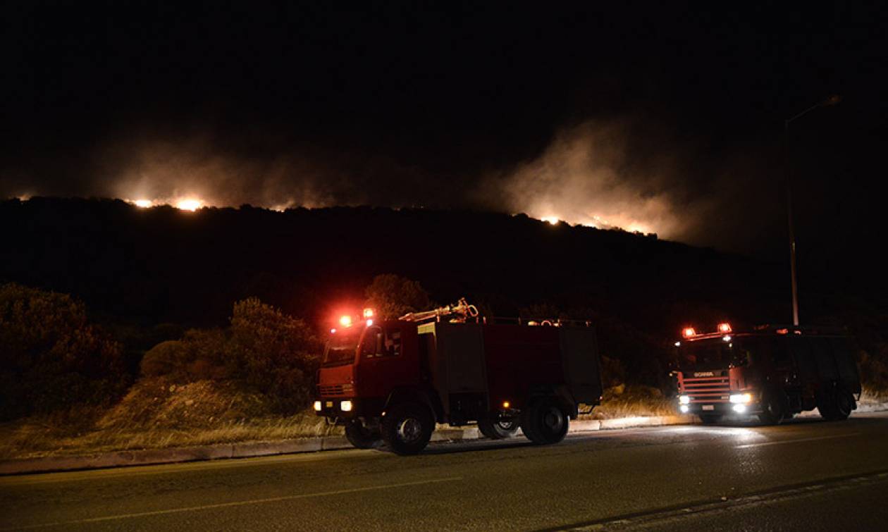 Τρίπολη: Υπό μερικό έλεγχο η φωτιά στην περιοχή Χιράδες Αρκαδίας