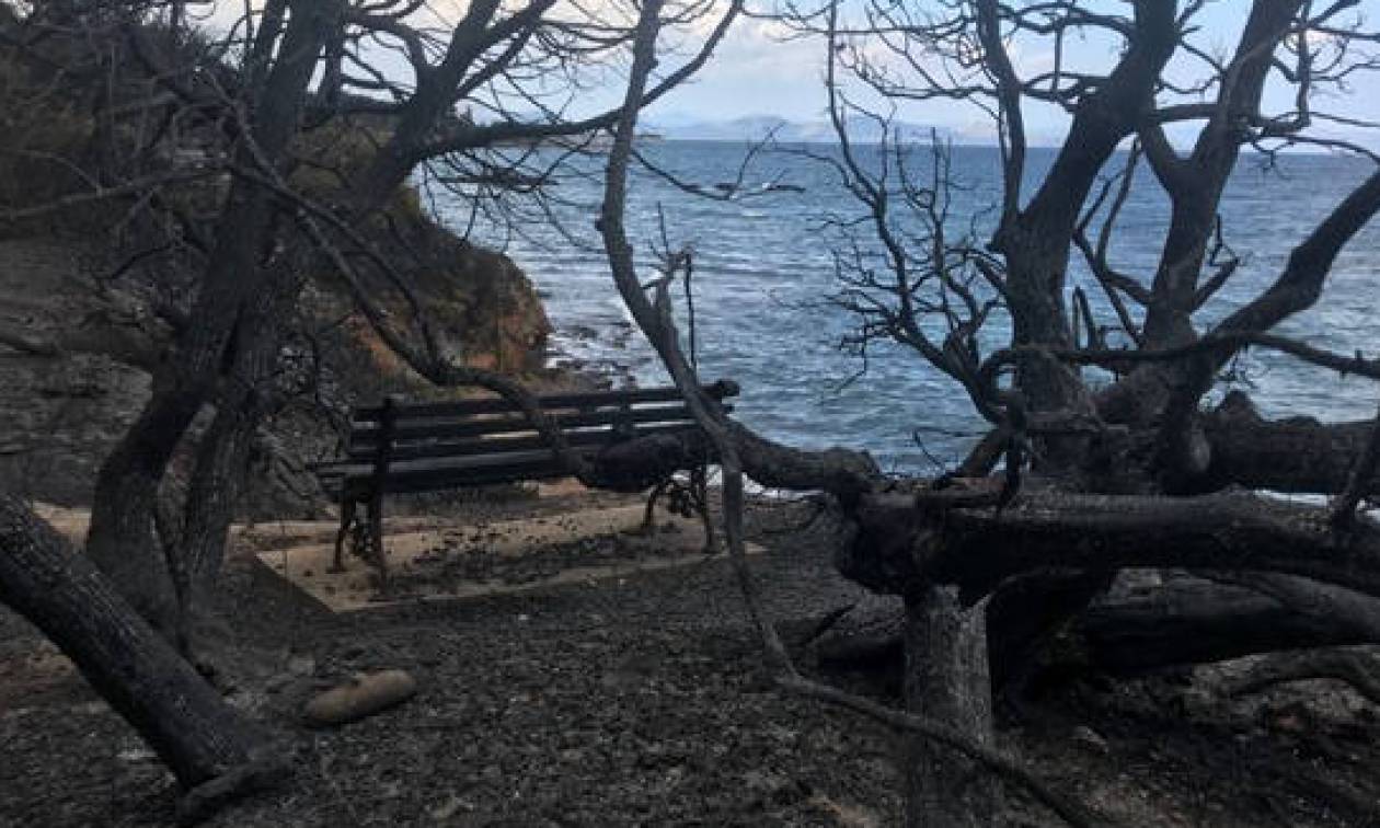 Ποιοι δήμοι επιχορηγούνται για την ενίσχυση πυρόπληκτων και πλημμυροπαθών