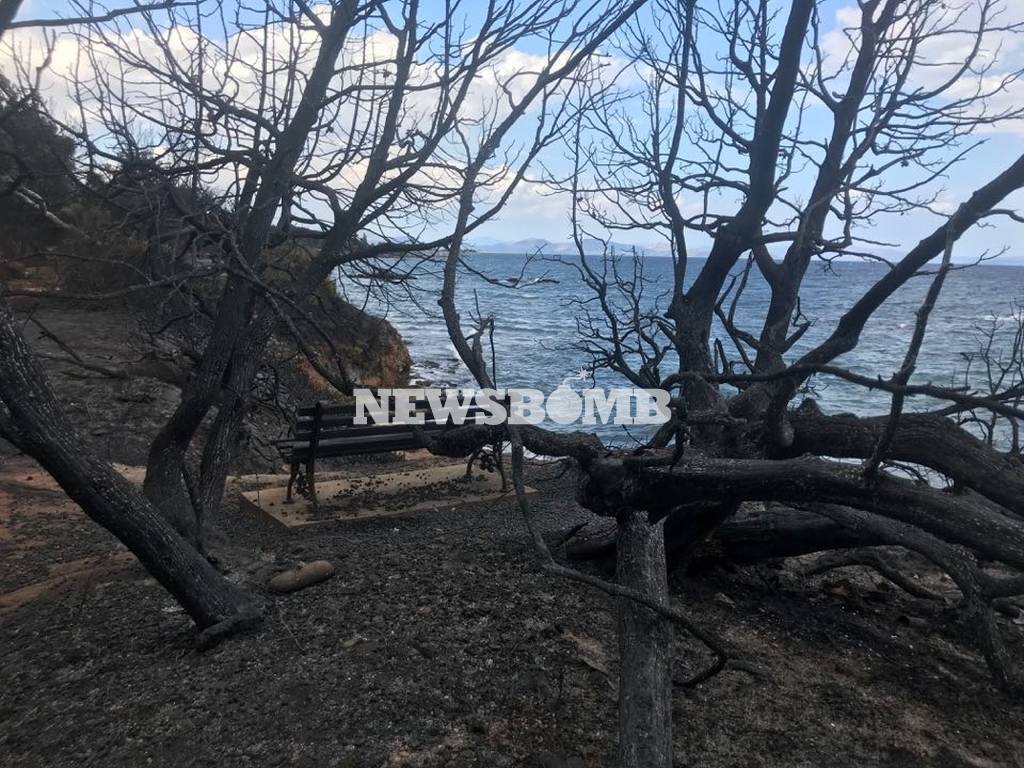 Πυρόπληκτοι: Καταβάλλεται σήμερα η πέμπτη δόση της οικονομικής ενίσχυσης 