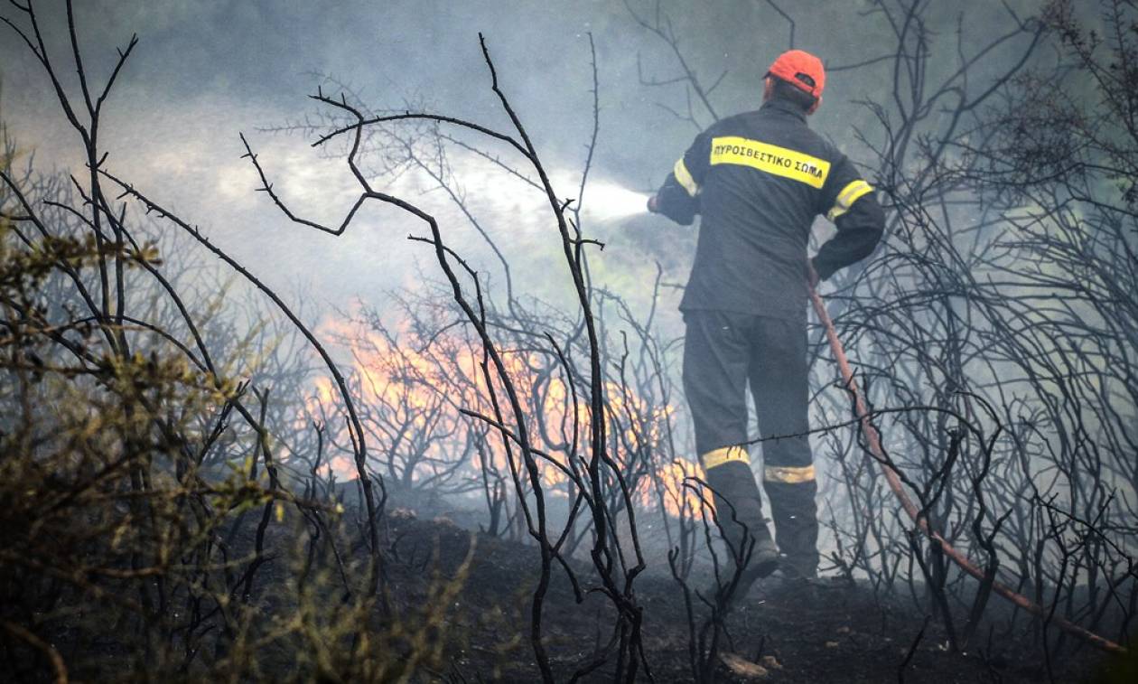 Μάχη με τις φλόγες σε δύο πύρινα μέτωπα στην Ηλεία